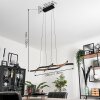 Fuliola Lampada a Sospensione LED Nero, 1-Luce
