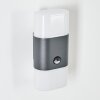Belerda Applique da esterno Bianco, 2-Luci, Sensori di movimento