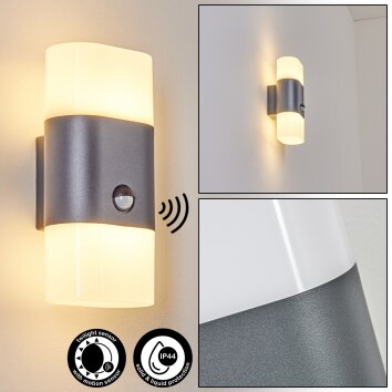 Belerda Applique da esterno LED Antracite, 2-Luci, Sensori di movimento Belerda Applique da esterno LED Antracite, 2-Luci, Sensori di movimento