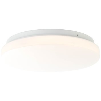 Brilliant Farica Plafoniera LED Bianco, 1-Luce