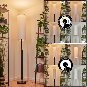 Coquimbito Lampada da terra LED Nero, 1-Luce