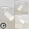 Aketohoin Plafoniera da esterno LED Bianco, 1-Luce