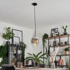 Vevino Lampadario a sospensione Vetro 20cm Cromo, Chiaro, Grigio fumo, 1-Luce Vevino Lampadario a sospensione Vetro 20cm Cromo, Chiaro, Grigio fumo, 1-Luce