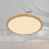 Globo SAPANA Plafoniera LED Ottone, Bianco, 1-Luce