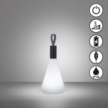 FHL easy Prian Lampada da tavolo LED Nero, 1-Luce