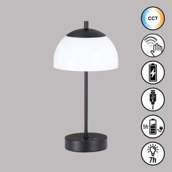 FHL easy Riva Lampada da tavolo LED Nero, 1-Luce