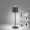 FHL easy Viletto Lampada da tavolo LED Nero, 1-Luce