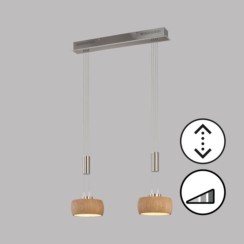 Fischer & Honsel SHINEWOOD Lampada a Sospensione LED Nichel opaco, 2-Luci main product photo
