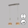 Fischer & Honsel SHINEWOOD Lampada a Sospensione LED Nichel opaco, 2-Luci