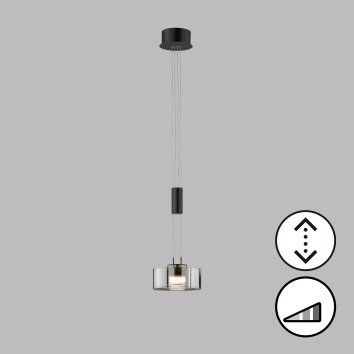 Fischer & Honsel Lavin Lampada a Sospensione LED Nero, 1-Luce