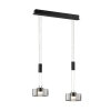 Fischer & Honsel Lavin Lampada a Sospensione LED Nero, 2-Luci