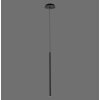 Paul Neuhaus FLUTE Lampada a Sospensione LED Nero, 1-Luce