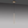 Paul Neuhaus FLUTE Lampada a Sospensione LED Oro, 1-Luce