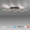 Paul Neuhaus POLINA Plafoniera LED Nero, 1-Luce