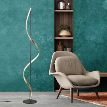 Paul Neuhaus QSWING Lampada da terra LED Antracite, Oro, 1-Luce, Telecomando