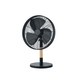 Reality Viking Ventilatore Nero