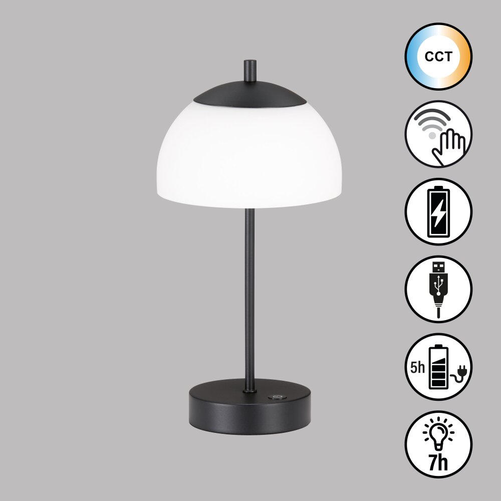 FHL easy Riva Lampada da tavolo LED Nero, 1-Luce main product photo