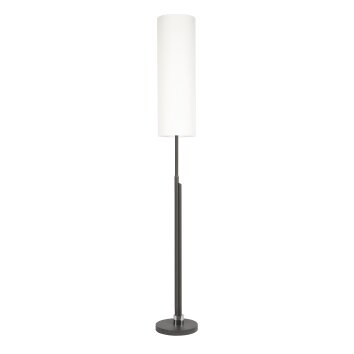 Coquimbito Lampada da terra LED Antracite, 2-Luci