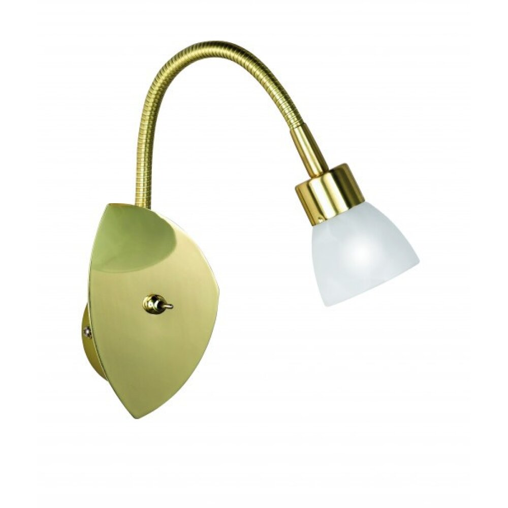 Trio 8161 Applique Ottone, 1-Luce main product photo