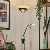 Biot Lampada da terra LED Nero, 2-Luci Biot Lampada da terra LED Nero, 2-Luci