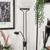 Biot Lampada da terra LED Nero, 2-Luci Biot Lampada da terra LED Nero, 2-Luci