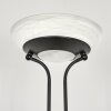 Biot Lampada da terra LED Nero, 2-Luci Biot Lampada da terra LED Nero, 2-Luci
