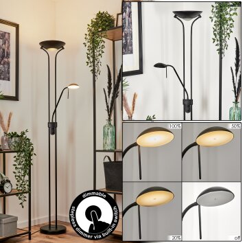 Biot Lampada da terra LED Nero, 2-Luci