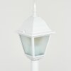 Naofe Lampioncino Segnapasso Bianco, 1-Luce