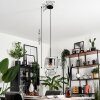 Lauden Lampadario a sospensione Vetro 20cm Chiaro, Grigio fumo, 1-Luce