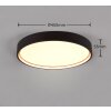 Trio DOHA Plafoniera LED Nero, 1-Luce