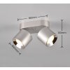 Trio GUAYANA soffitto Nichel opaco, 2-Luci