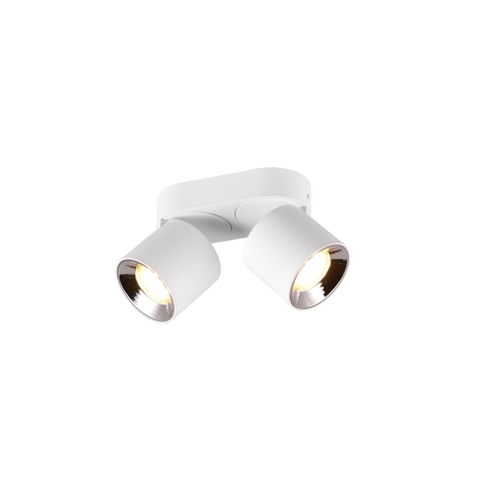 Trio GUAYANA plafoniera Bianco, 2-Luci main product photo