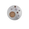 Trio Zodiac Plafoniera LED Alluminio satinato, Oro, 1-Luce