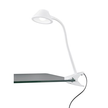 Reality BERRY Lampada con pinza LED Bianco, 1-Luce