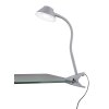 Reality BERRY Lampada con pinza LED Titanio, 1-Luce