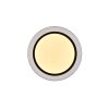Reality Cartida Plafoniera LED Bianco, 1-Luce, Telecomando, Cambia colore