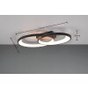Reality Malaga Plafoniera LED Nero, Bianco, 1-Luce
