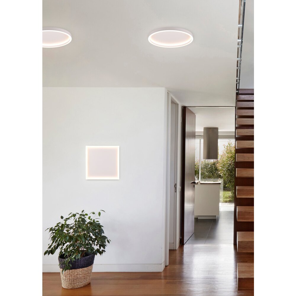 Reality Rotonda Plafoniera LED Bianco, 1-Luce main product photo