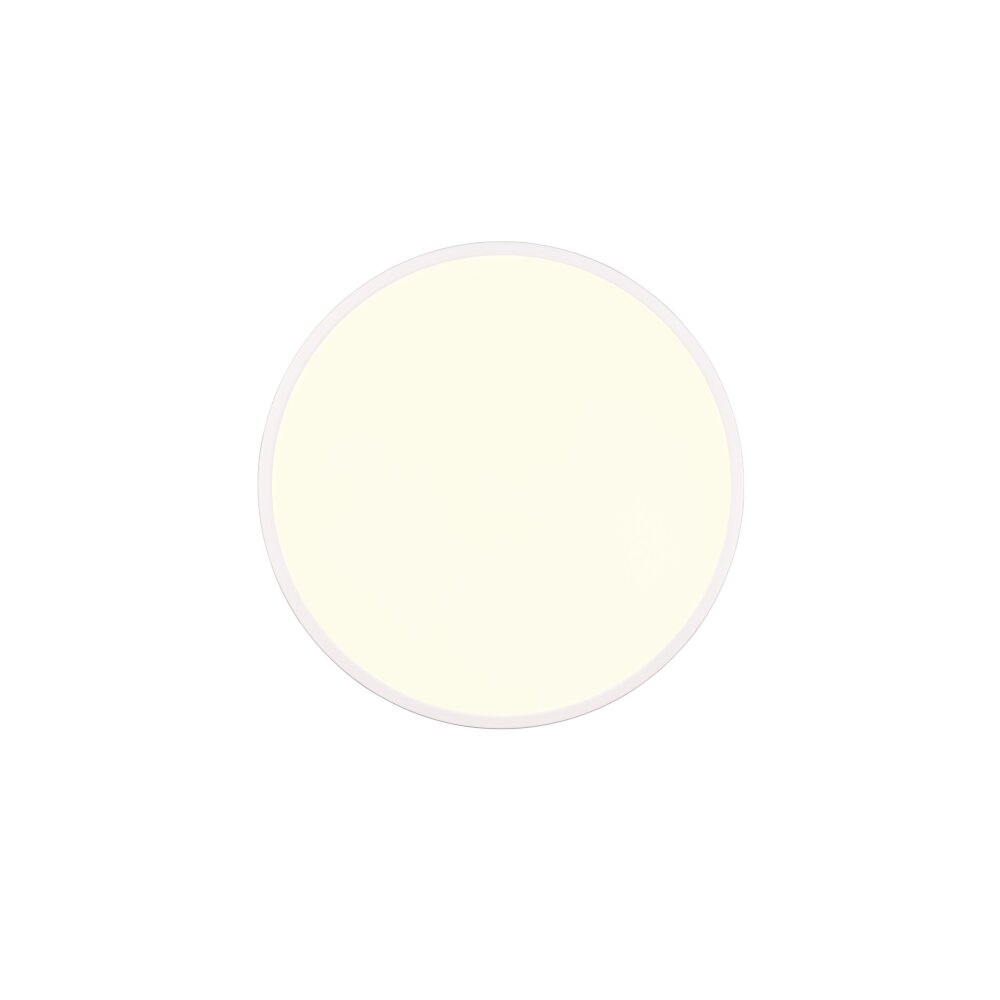 Reality SCOTT Plafoniera LED Bianco, 1-Luce, Telecomando