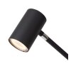 Lucide TIPIK Lampada da terra LED Nero, 1-Luce
