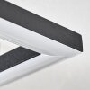 Obo Plafoniera LED Nero, 1-Luce