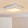 Voisines Plafoniera LED Bianco, 1-Luce, Telecomando, Cambia colore