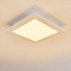 Voisines Plafoniera LED Bianco, 1-Luce, Telecomando, Cambia colore