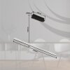 Globo DENTSY Lampadario a sospensione LED Nero, 1-Luce