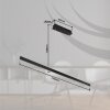 Globo DENTSY Lampadario a sospensione LED Nero, 1-Luce