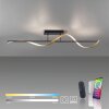 Paul Neuhaus Q-SWING Plafoniera LED Antracite, Oro, 1-Luce, Telecomando