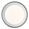 GloboTERPSA Plafoniera LED Grigio, Bianco, 1-Luce, Telecomando