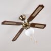 Ventilatori a soffitto Morea Ottone antico, Legno scuro, 1-Luce