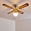 Ventilatori a soffitto Morea Ottone antico, Legno scuro, 1-Luce