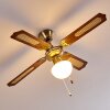 Ventilatori a soffitto Morea Ottone antico, Legno scuro, 1-Luce